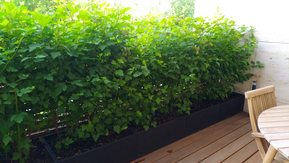 ЖК "Литератор"