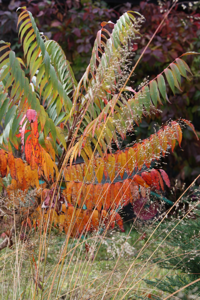 Сад на песках