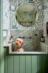 7 Housekeeping Tips for Dog Owners