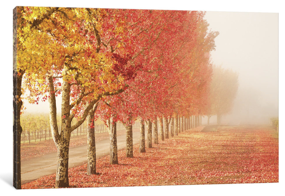 "Fall Trees in the Mist Gallery" by Abhi Ganju, 40x26x0.75"