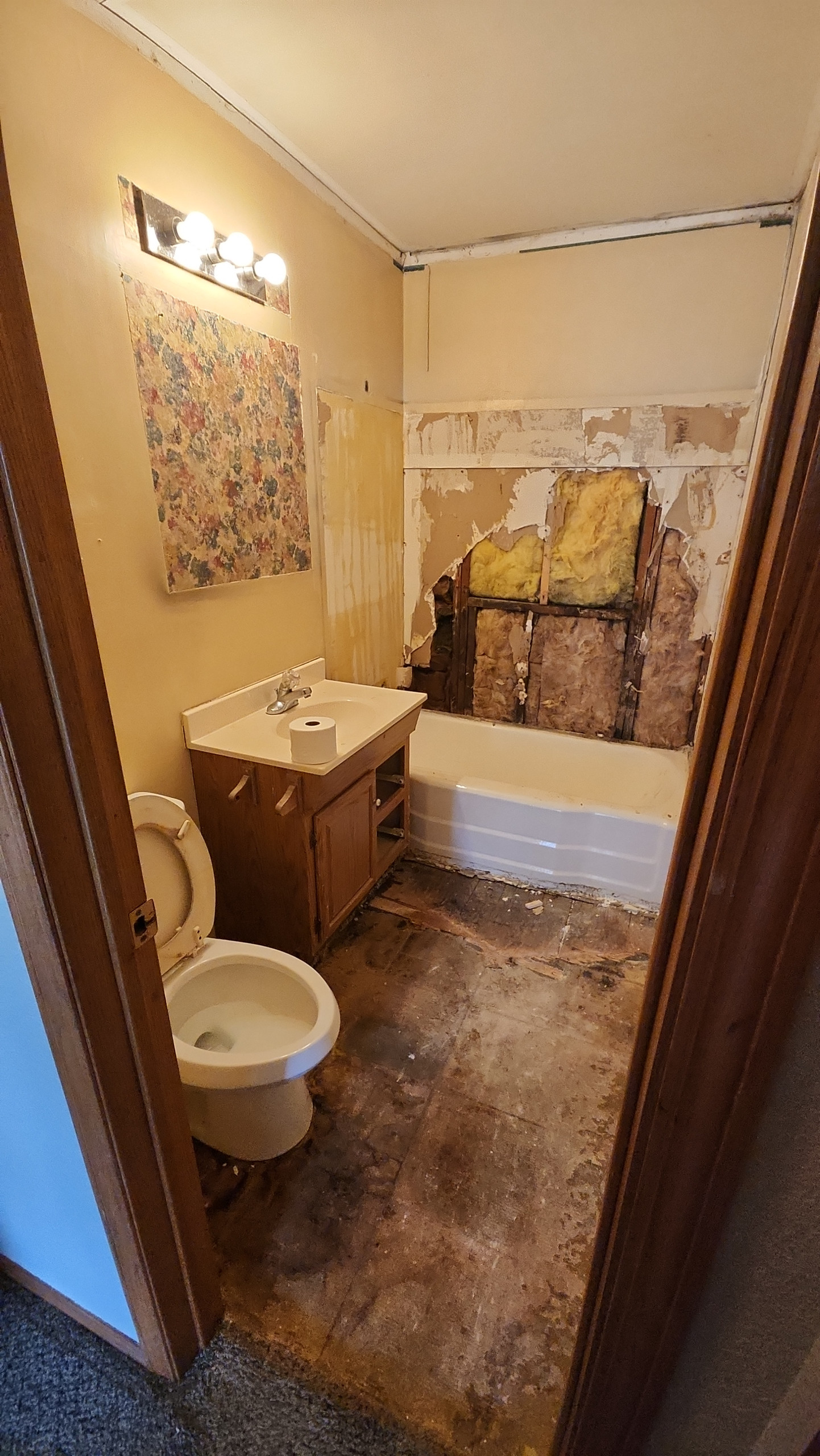 Bathroom update