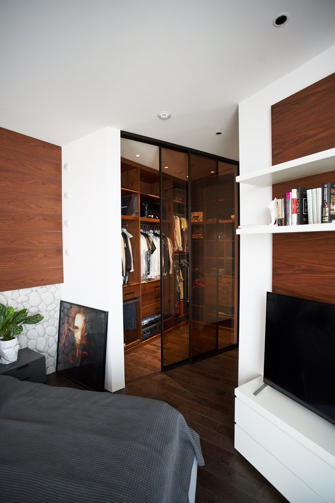 Раздвижные двери S1200 raumplus темная бронза для гардеробной