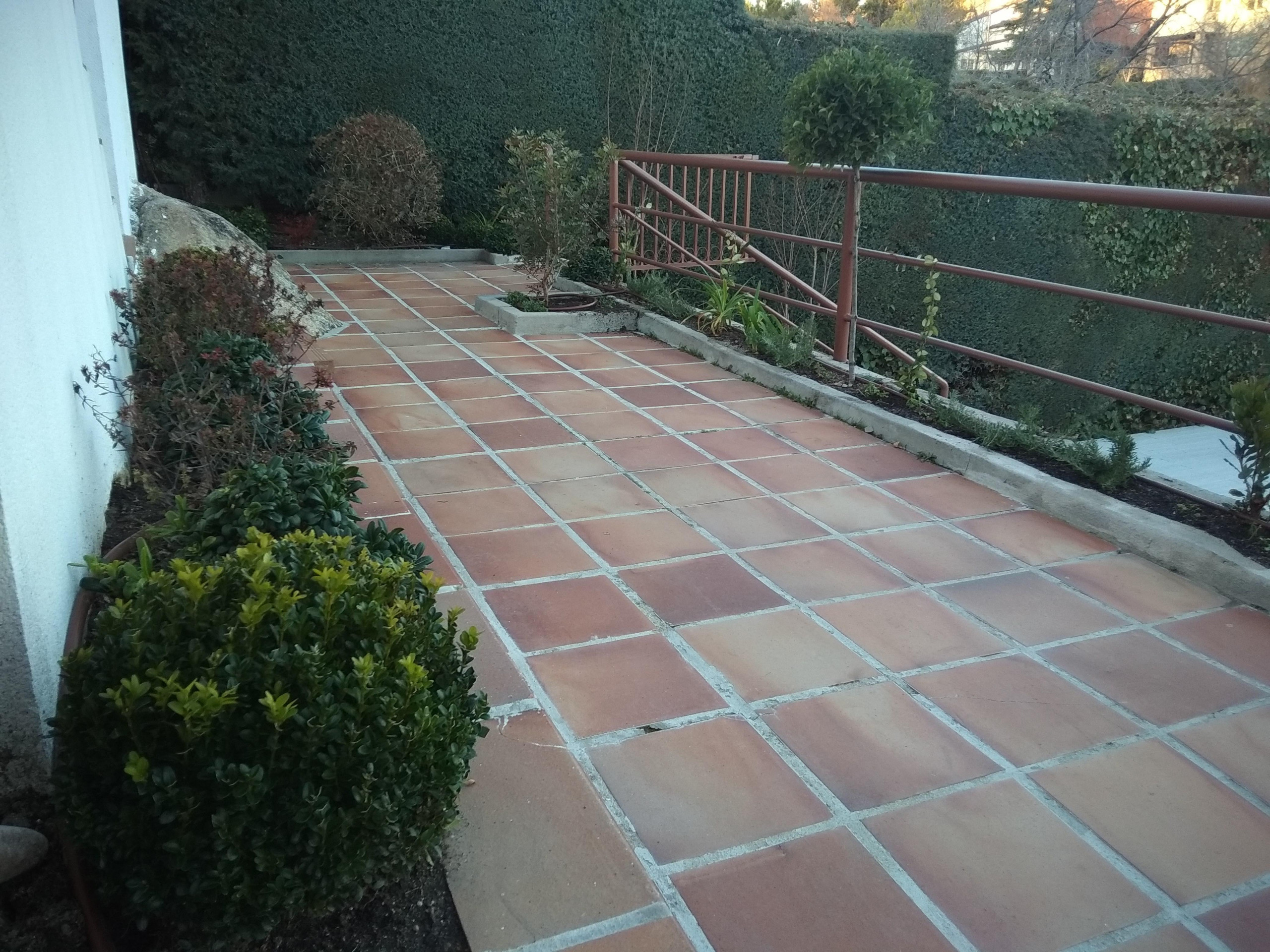 Dando color a viejos jardines