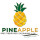 Pineapple multiservice cleaning