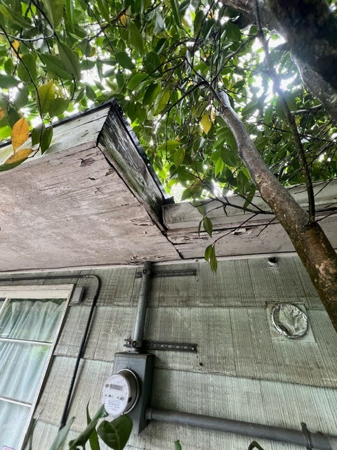 Exterior House Painting