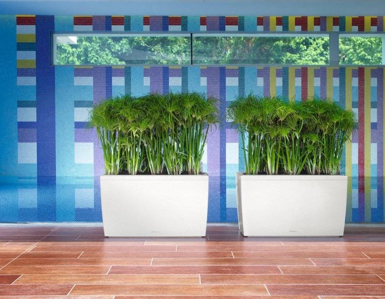 На вершине моды!