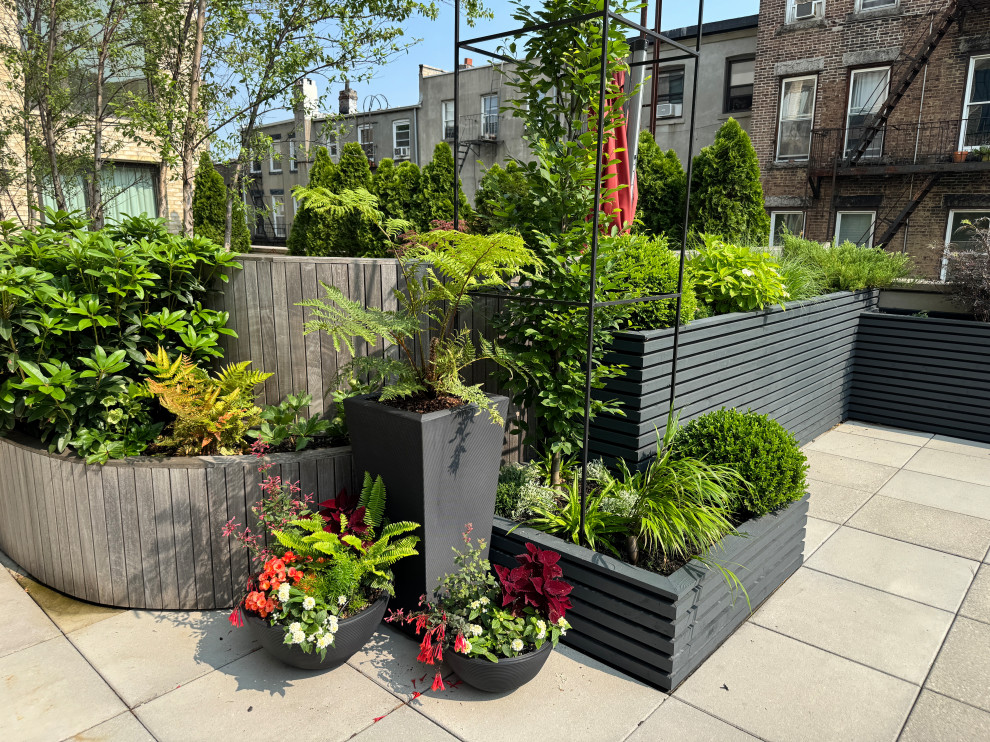 Carroll Gardens Rooftop Terrace