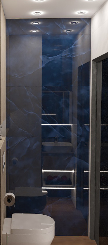 проходная кухня-студия