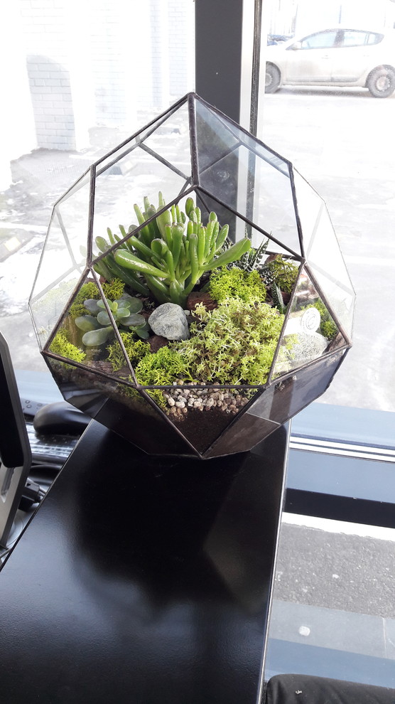 Озеленение и композиции