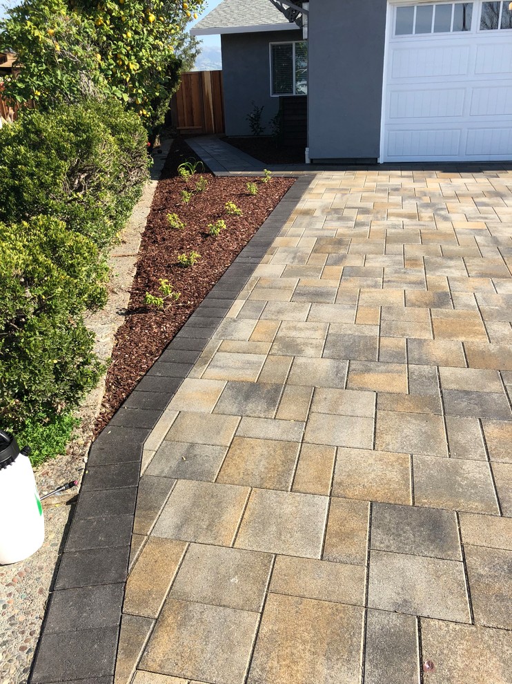 Front Yard- Driveway