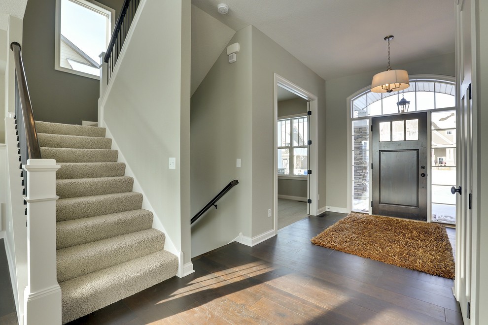 Example of a transitional entryway design in Minneapolis