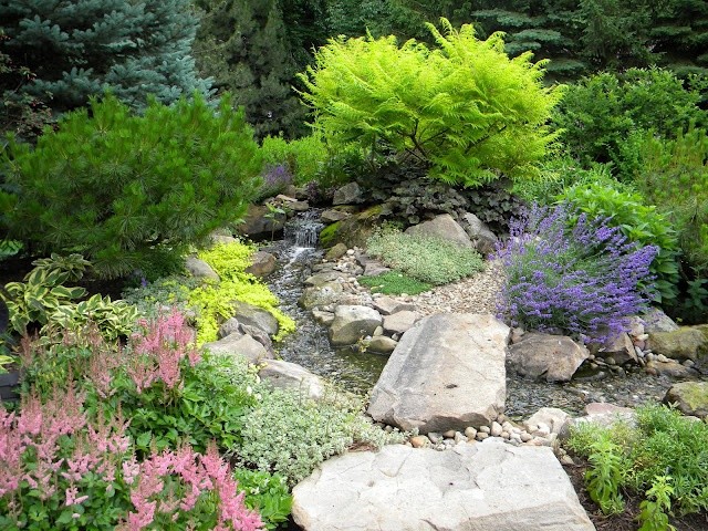 Pondless Waterfall and Stream