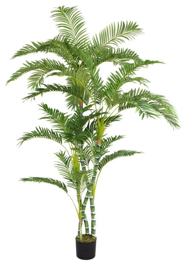 72"H Palm Tree (52x52x72"H)
