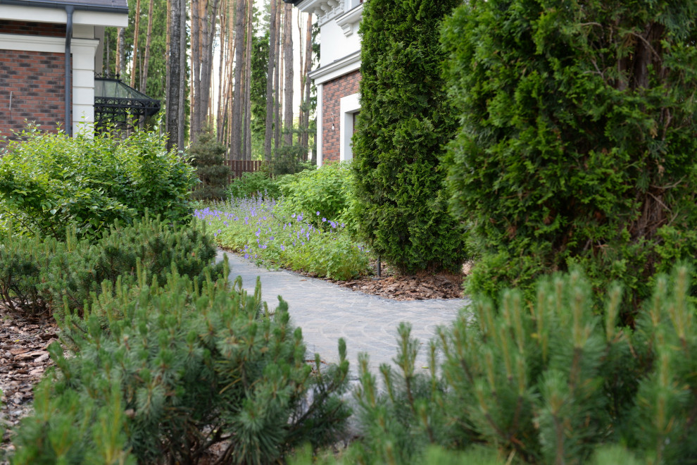 Новогорск 2021