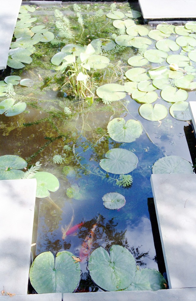 Eikenberry Residence