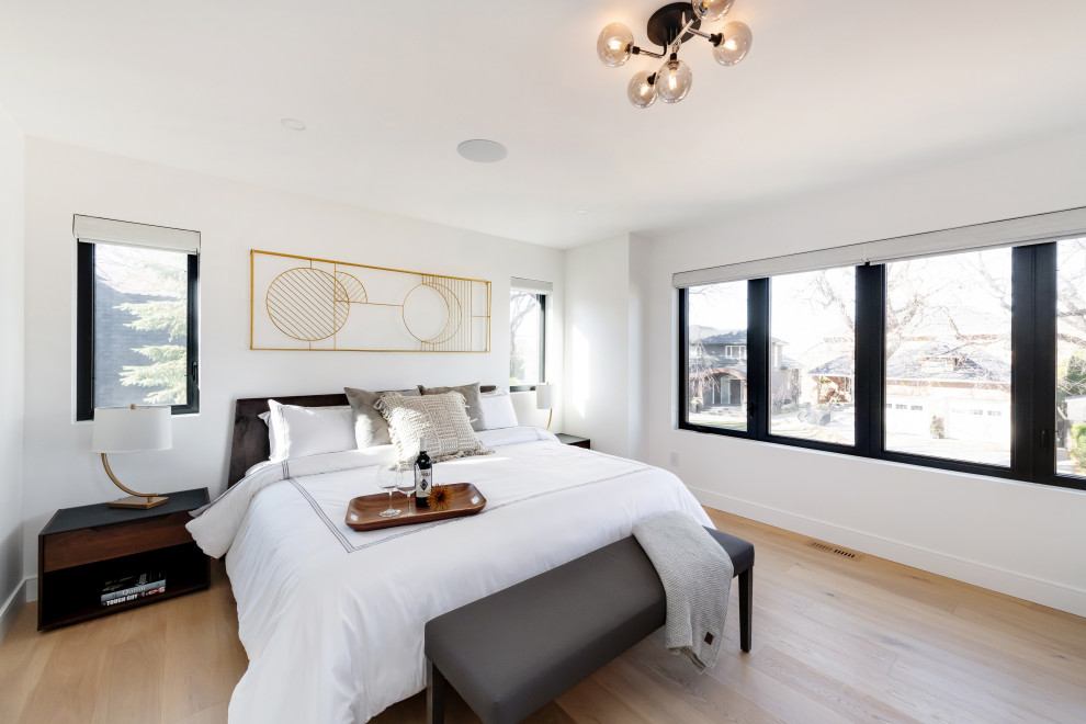 Imagen de dormitorio principal moderno de tamaño medio con paredes blancas, suelo de madera clara y suelo beige