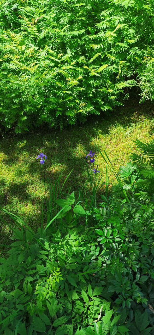 Суханово парк