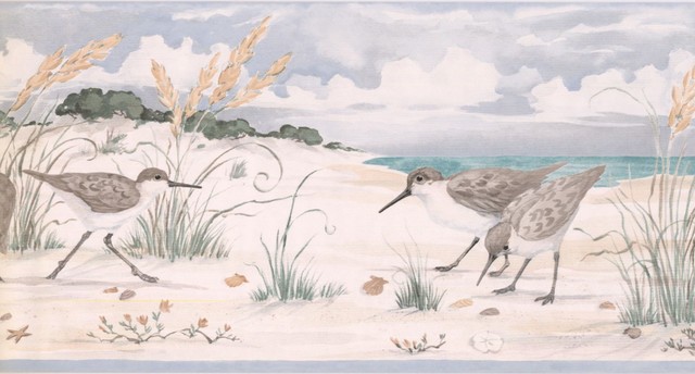 Beach Wallpaper Border Pb201b Beach Style Wallpaper By Designers Wallpaper Houzz