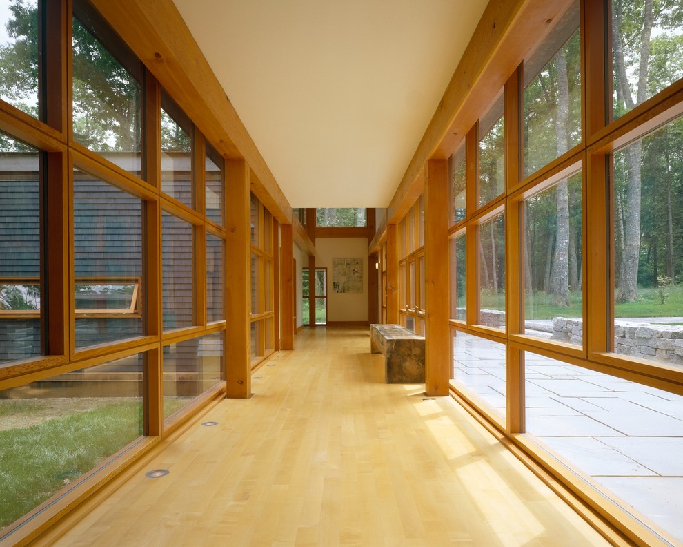Example of a large trendy light wood floor hallway design in Portland Maine