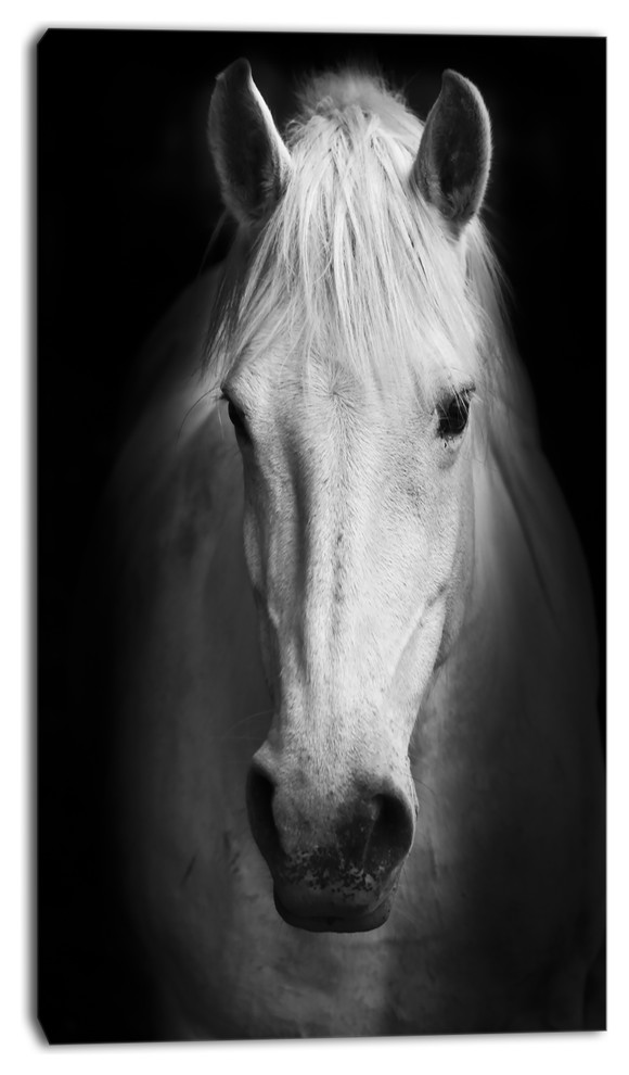 Designart White Horse Black and White Animal Canvas Art Print, 16