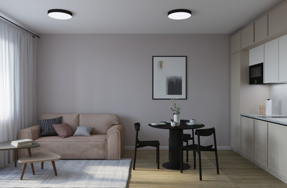 Кухня-гостиная