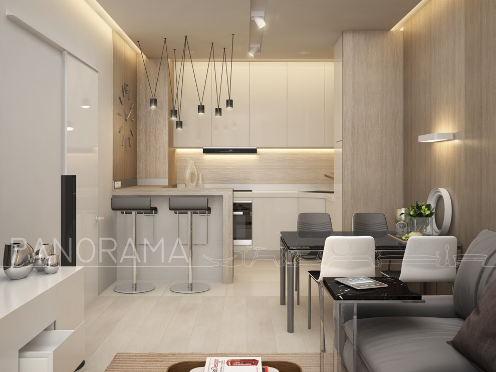 Проект квартиры "евродвушки" S - 50 кв.м.