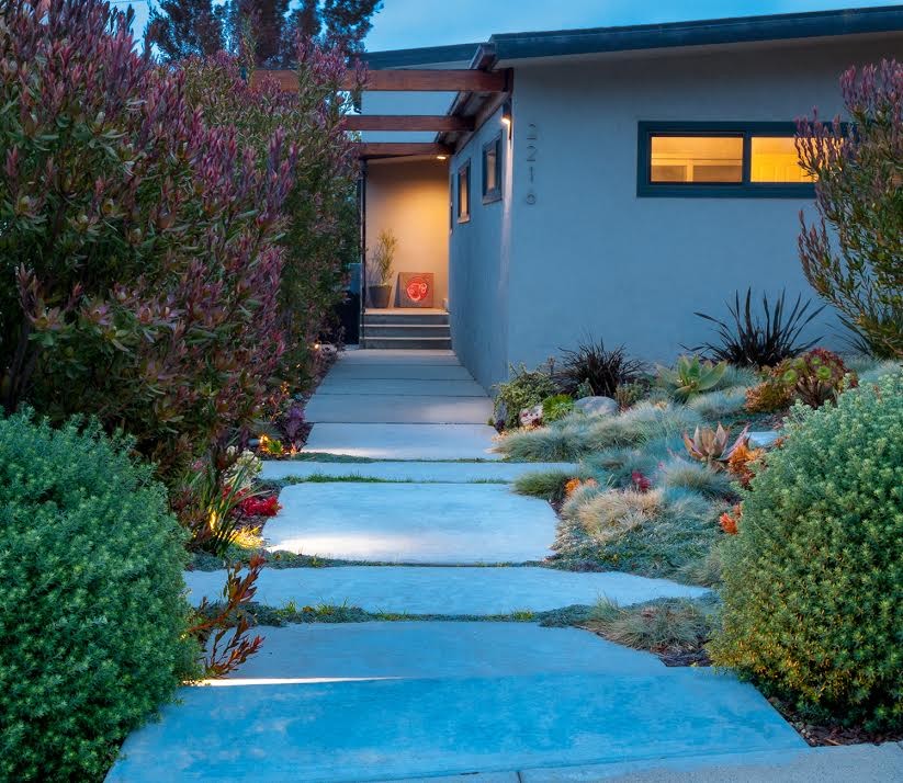 Design ideas for a mid-sized midcentury front yard full sun xeriscape in Other with a garden path.