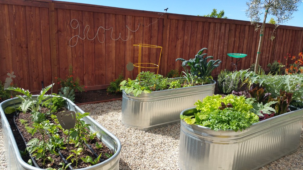 Design ideas for a mediterranean backyard full sun garden in San Diego with a vegetable garden and gravel.