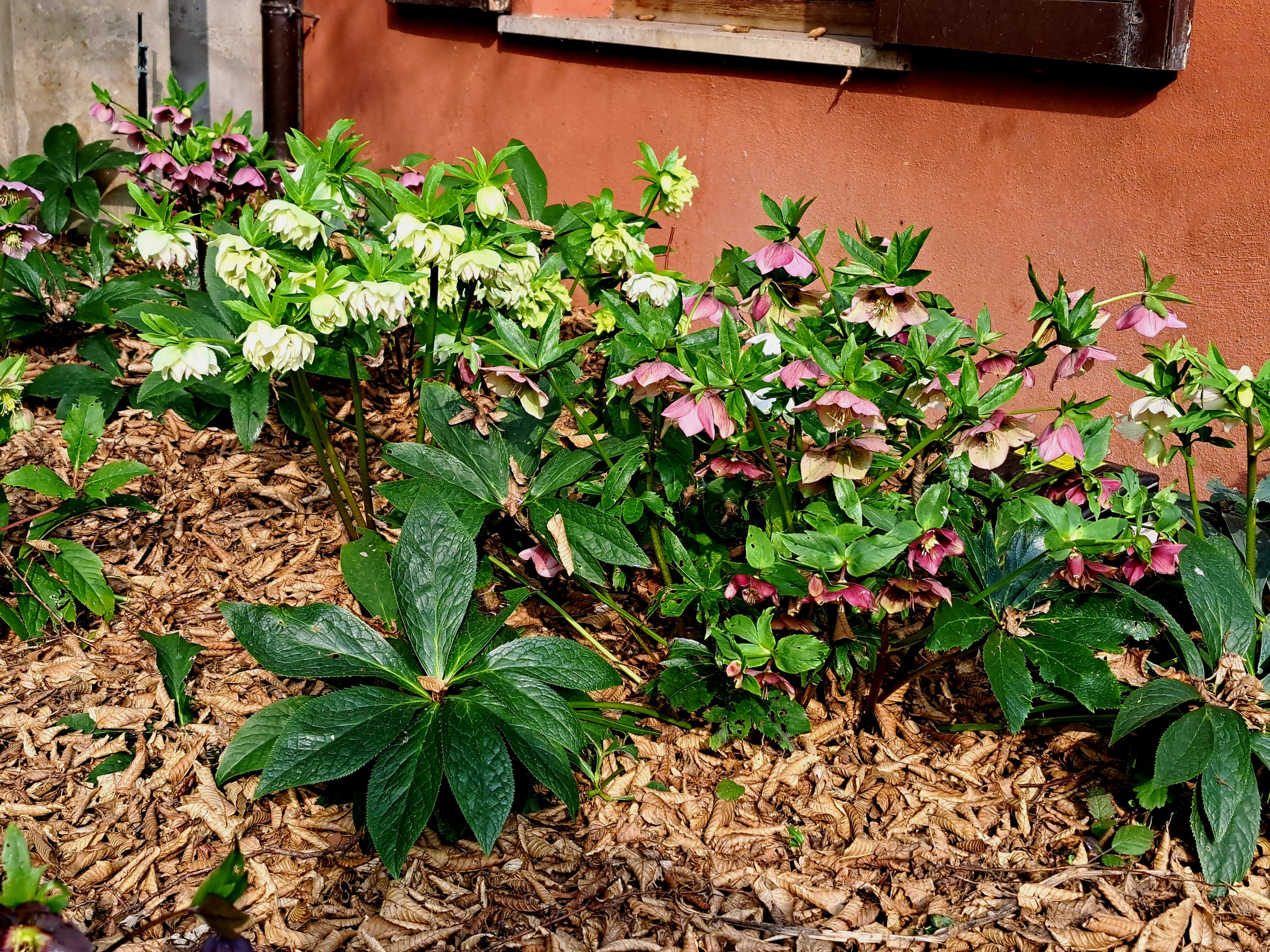 Giardino privato P.S.