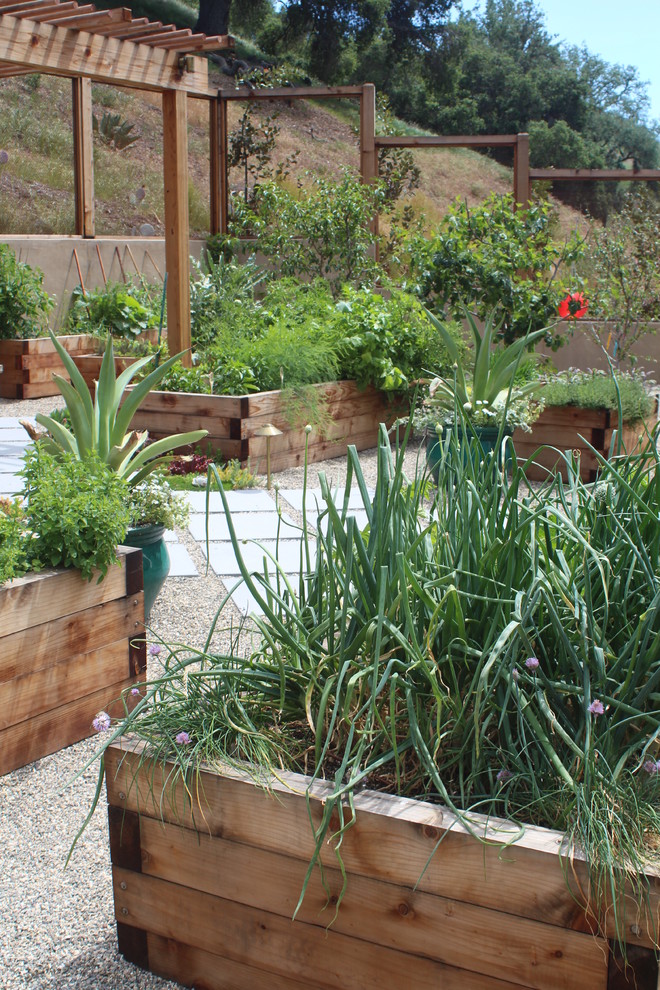 Photo of a mid-sized and australian native country backyard full sun garden for summer in San Diego with a vegetable garden and gravel.