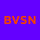 BVSN Studio