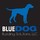 Blue Dog Building Solutions