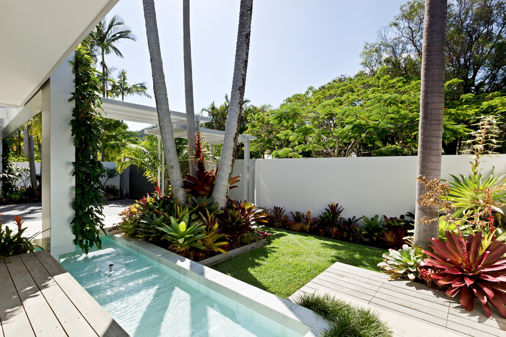 Photo of a small tropical rectangular pool in Brisbane.