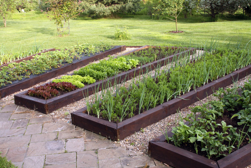 Большой сад для дружной семьи