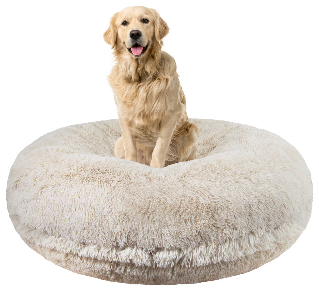 coolaroo pet bed