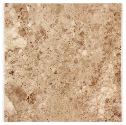Cappuccino 12 in x 12 in Polished Marble Floor and Wall Tile
