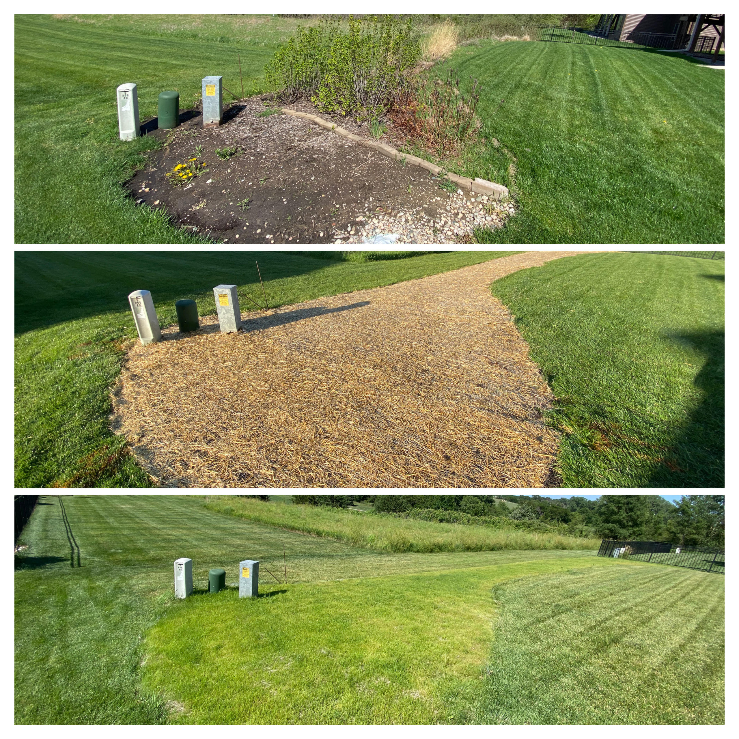 Landscape Removal & Seeding