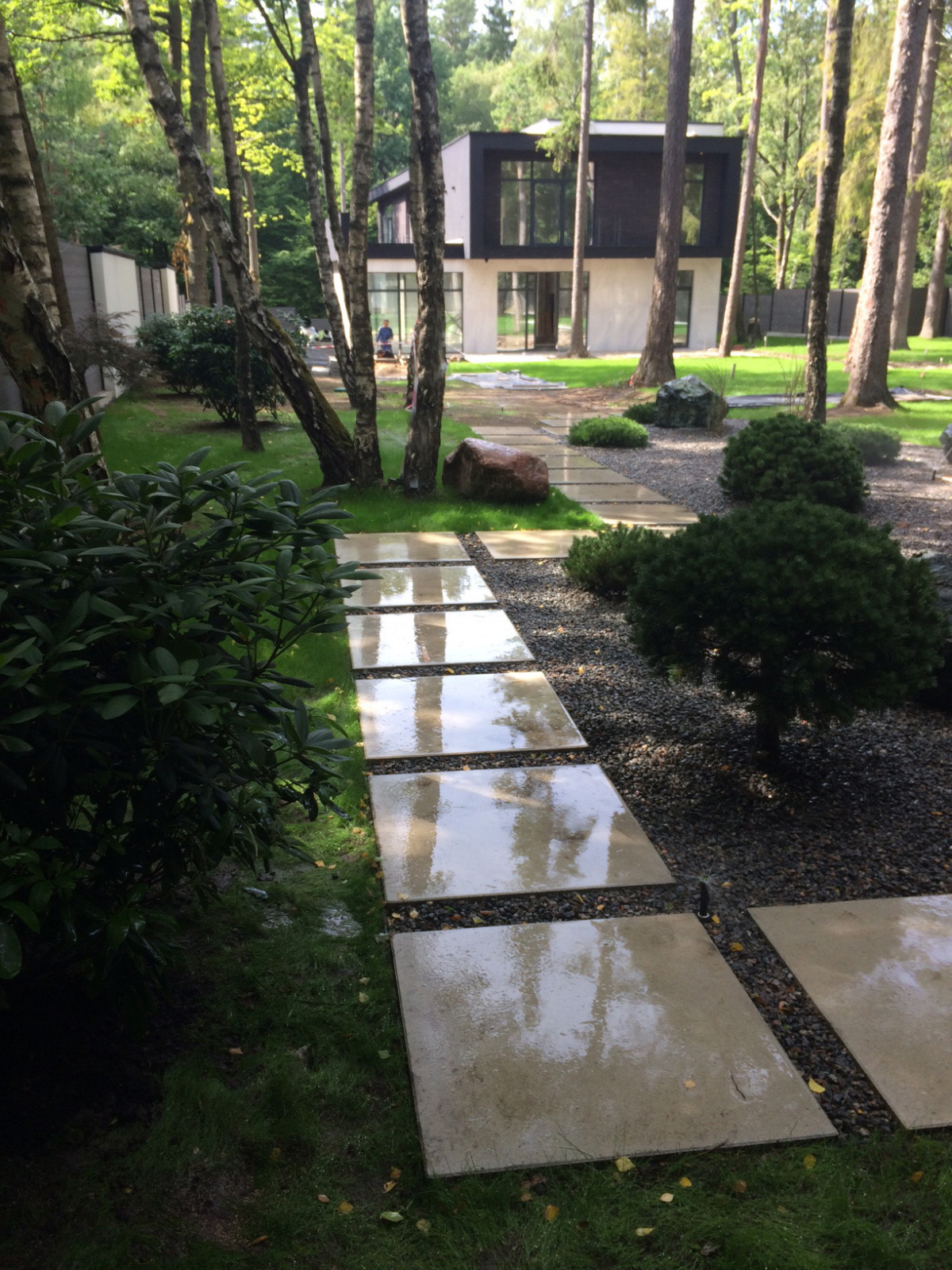 Сад в Светлогорском лесу