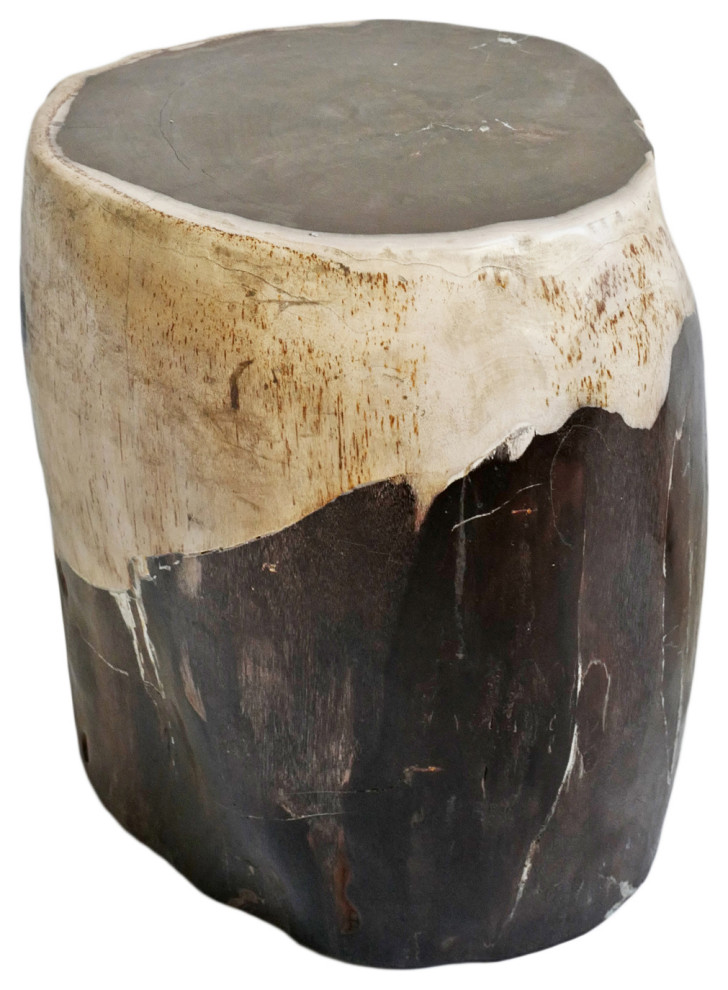 Black and White Petrified Wood Stump Stool Table Rustic Side Tables