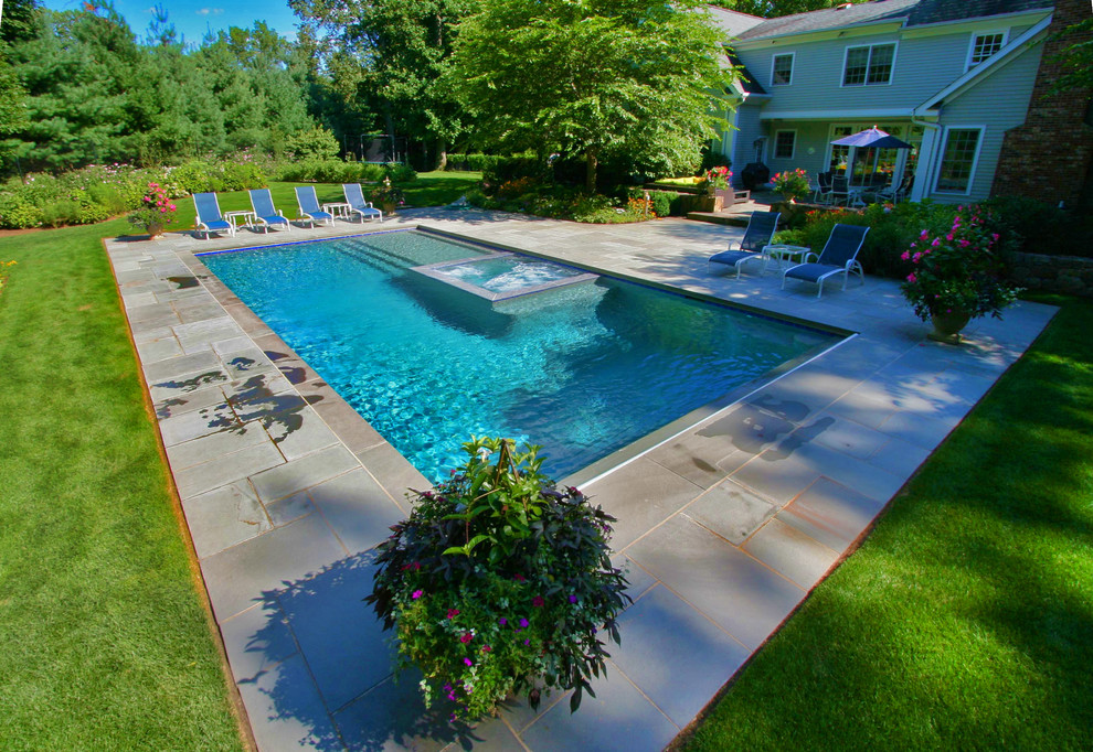 Pool & Spa with Sun-Shelf - Contemporary - Pool - New York - by Swimm ...