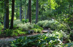 9 Peaceful Garden Scenes to Bring a Moment of Serenity
