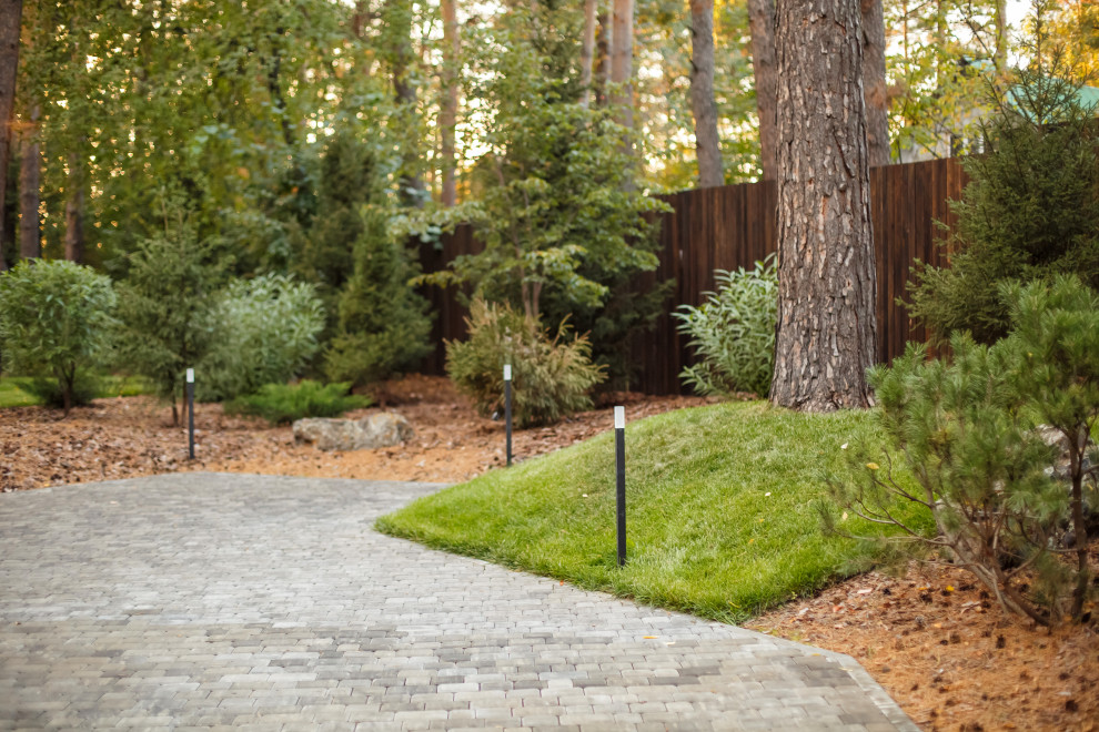 Ландшафт. Лесная погулка