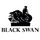 Black Swan Hearth & Home