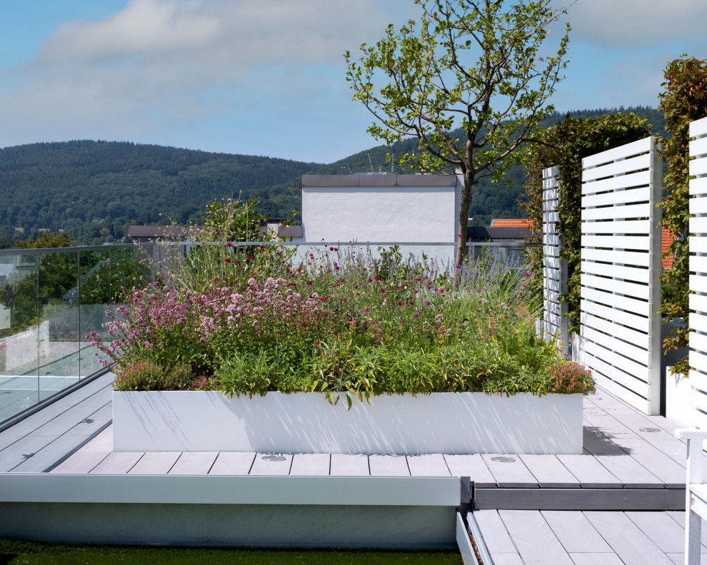 Idee per una terrazza minimal sul tetto e sul tetto con un giardino in vaso, una pergola e parapetto in vetro