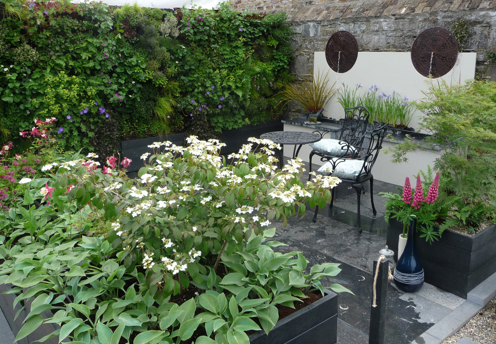 This is an example of a contemporary courtyard garden in Dublin with a vertical garden and natural stone pavers.