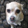Last commented by Annie SoCal Z10