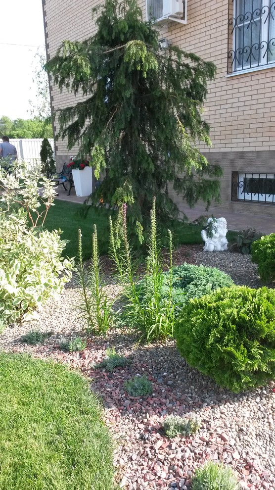 Цветы в саду