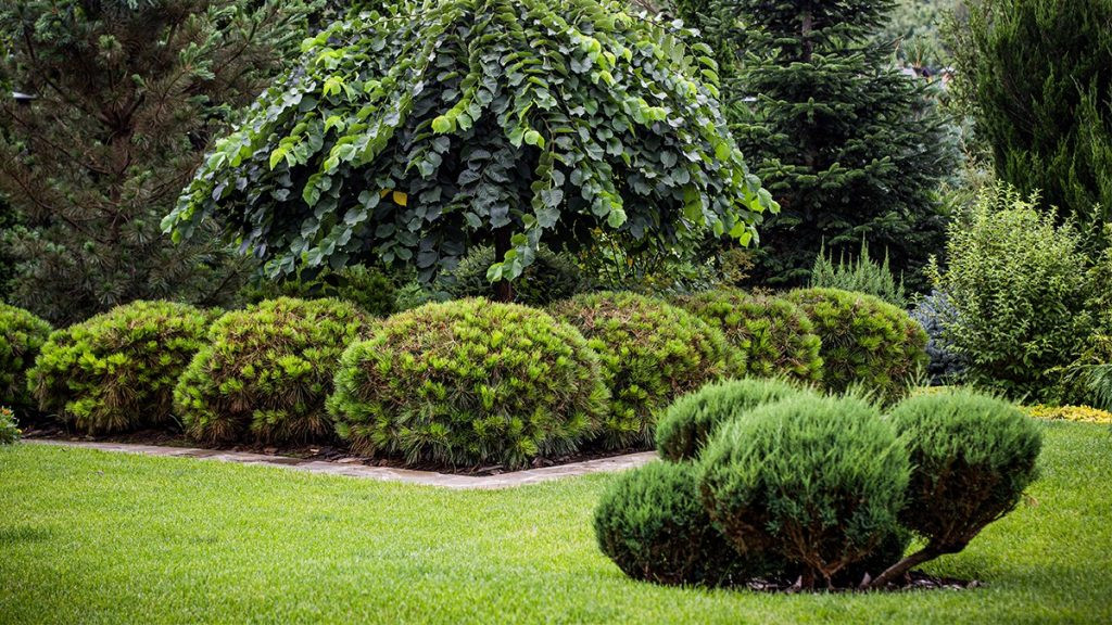 Частное домовладение