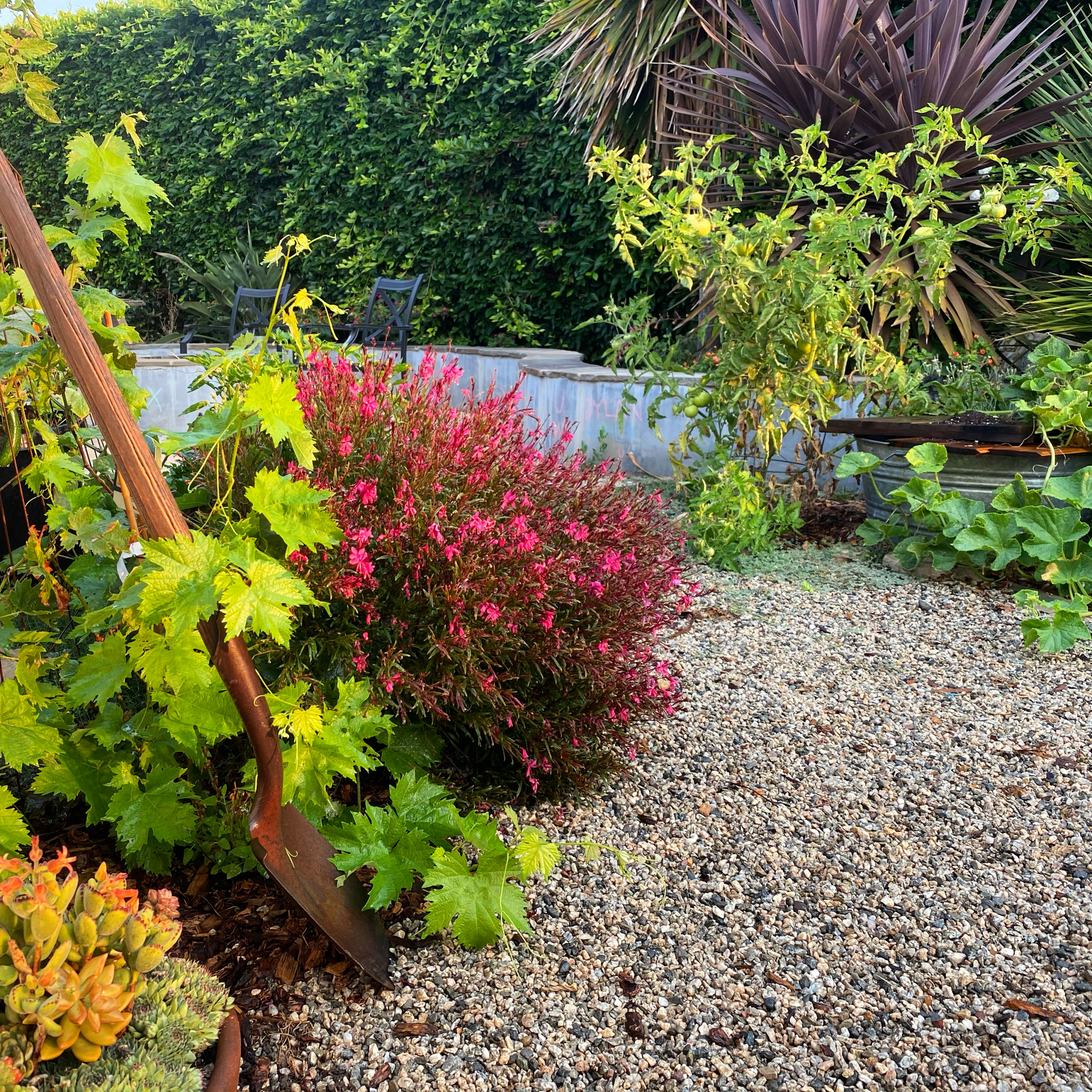 Rustic Kitchen Garden