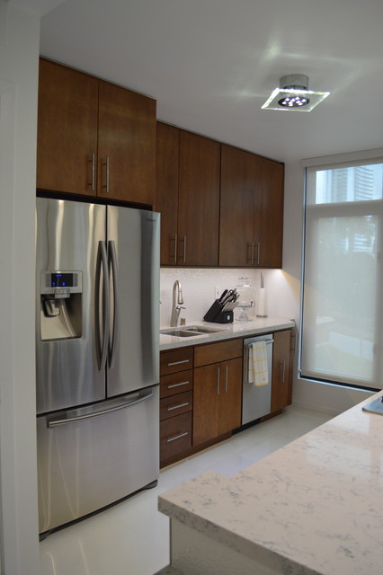 Contemporary Remodel contemporary-kitchen